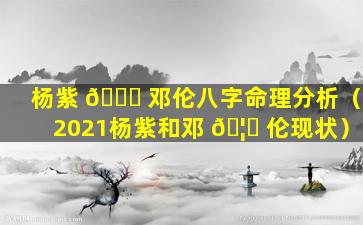 杨紫 🐋 邓伦八字命理分析（2021杨紫和邓 🦟 伦现状）